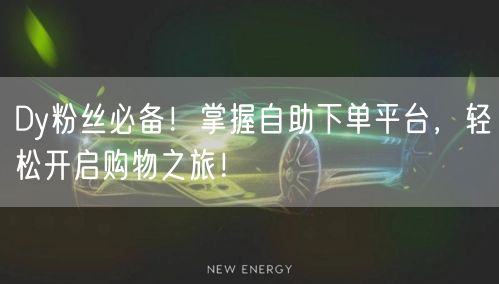 Dy粉丝必备！掌握自助下单平台，轻松开启购物之旅！