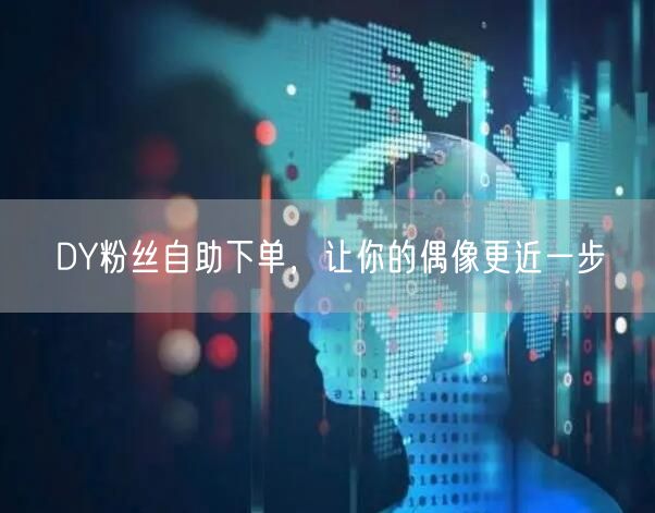 DY粉丝自助下单，让你的偶像更近一步