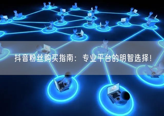 抖音粉丝购买指南：专业平台的明智选择！