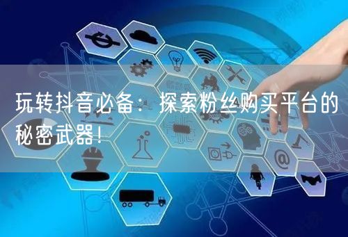 玩转抖音必备：探索粉丝购买平台的秘密武器！