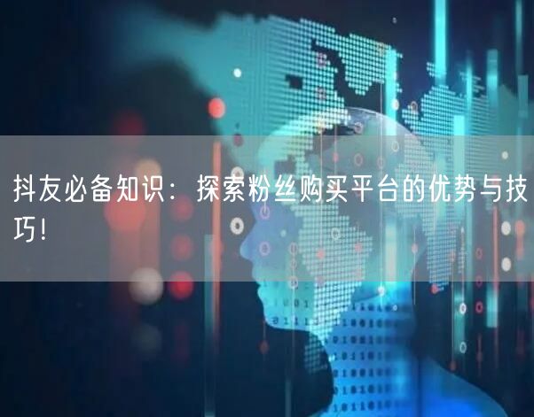 抖友必备知识：探索粉丝购买平台的优势与技