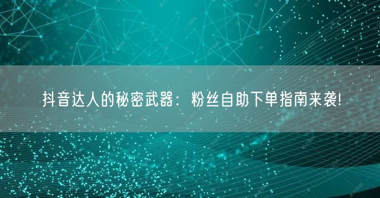 抖音达人的秘密武器：粉丝自助下单指南来袭