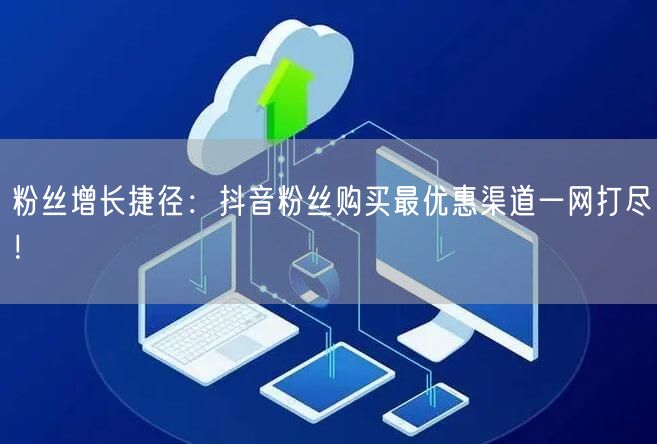 粉丝增长捷径：抖音粉丝购买最优惠渠道一网打尽！