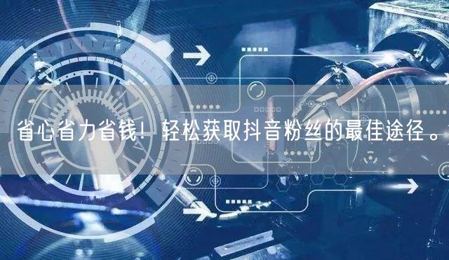 省心省力省钱！轻松获取抖音粉丝的最佳途径。