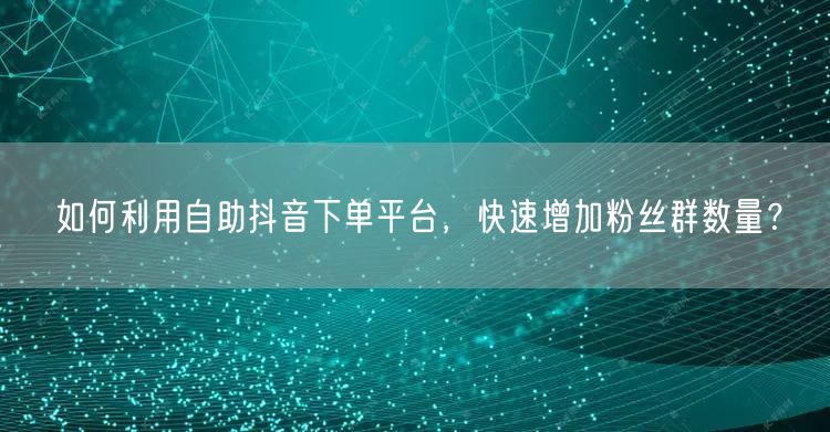 如何利用自助抖音下单平台，快速增加粉丝群