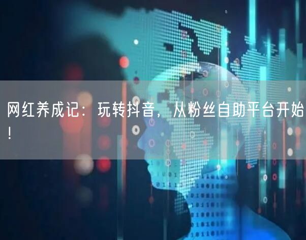 网红养成记：玩转抖音，从粉丝自助平台开始！