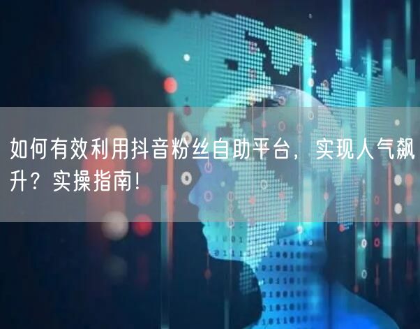 如何有效利用抖音粉丝自助平台，实现人气飙升？实操指南！
