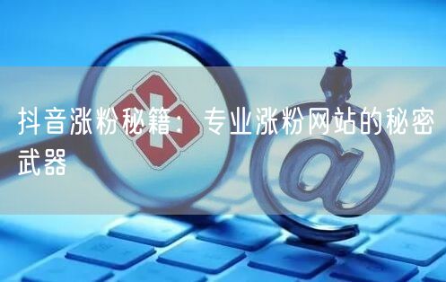 抖音涨粉秘籍：专业涨粉网站的秘密武器