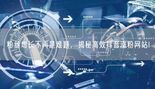 粉丝增长不再是难题，揭秘高效抖音涨粉网站!