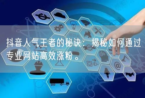 抖音人气王者的秘诀：揭秘如何通过专业网站高效涨粉。