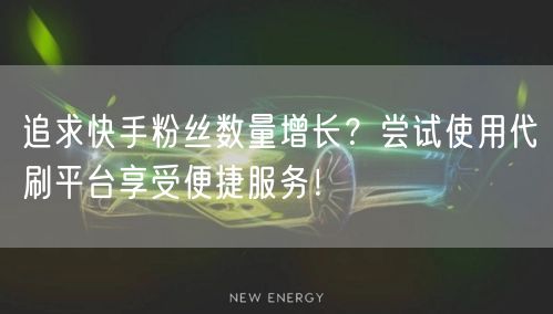 追求快手粉丝数量增长？尝试使用代刷平台享受便捷服务！