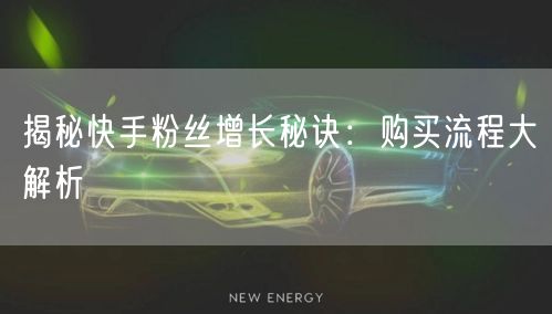 揭秘快手粉丝增长秘诀：购买流程大解析
