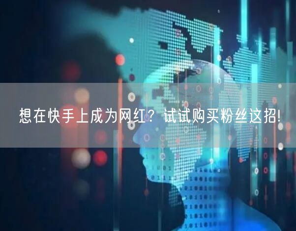 想在快手上成为网红？试试购买粉丝这招!