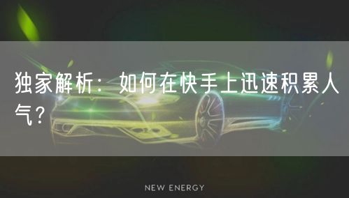 独家解析：如何在快手上迅速积累人气？