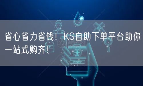 省心省力省钱！KS自助下单平台助你一站式购齐！